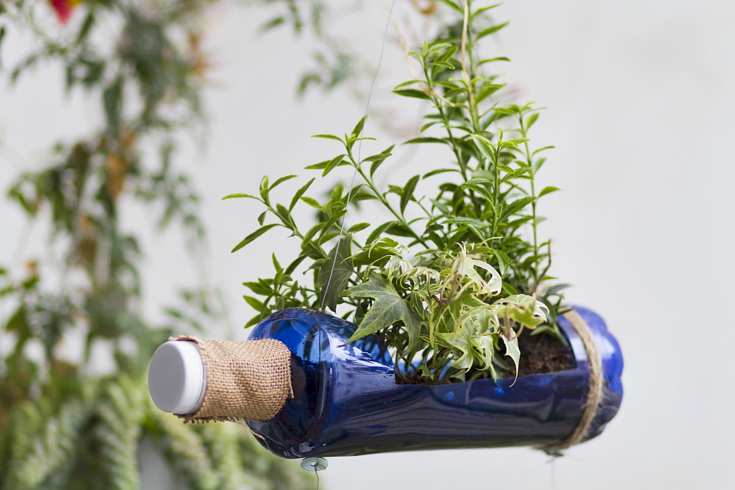 Le jardin vertical, une solution pour les petits extérieurs