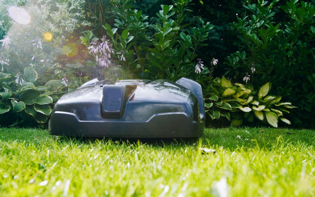 Les meilleurs robots tondeurs de pelouse à vous procurer
