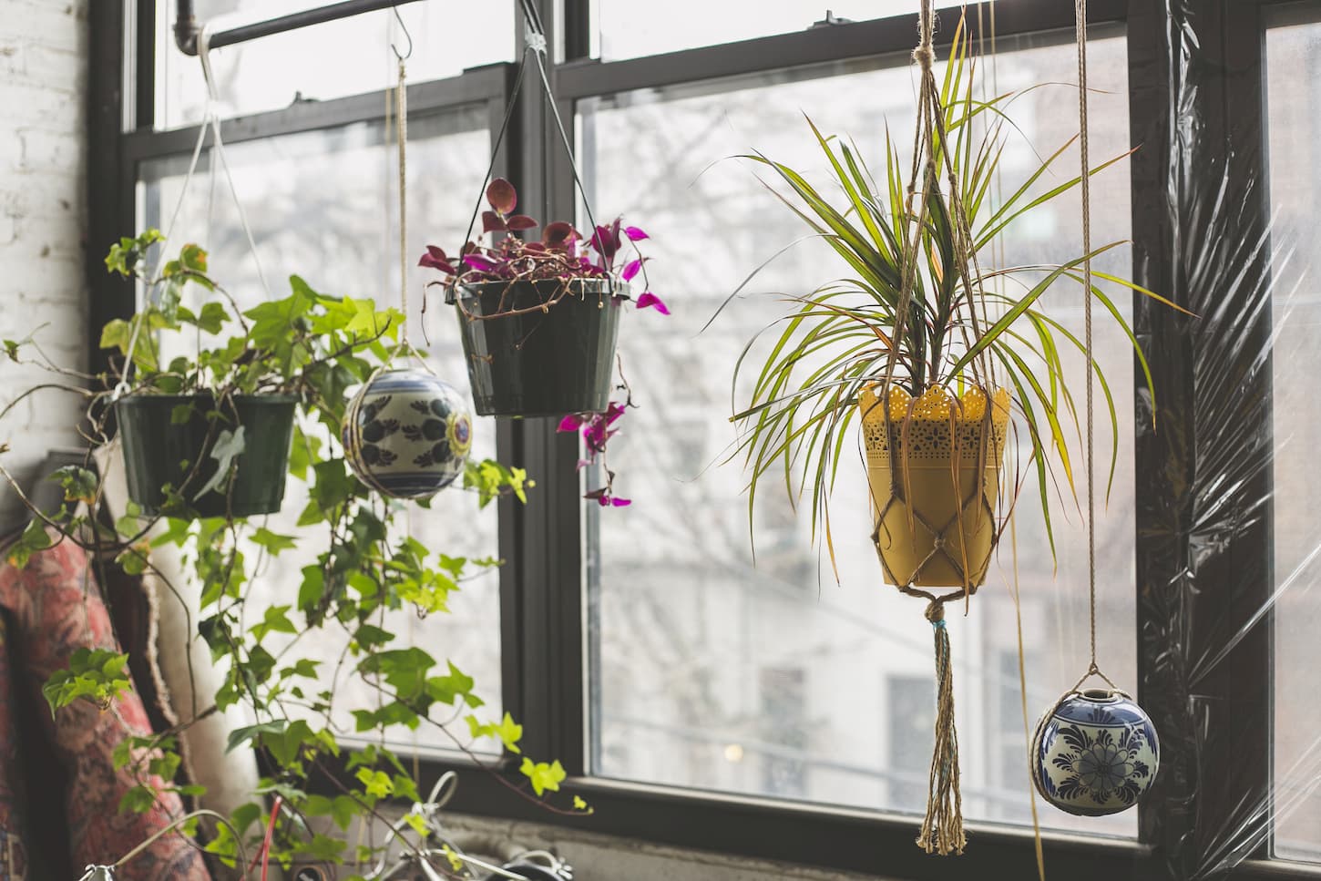 idées de jardin d'intérieur