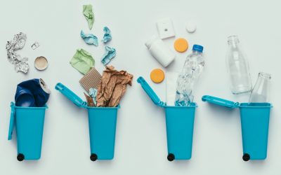 Écologie : comment mieux gérer ses déchets ménagers ?