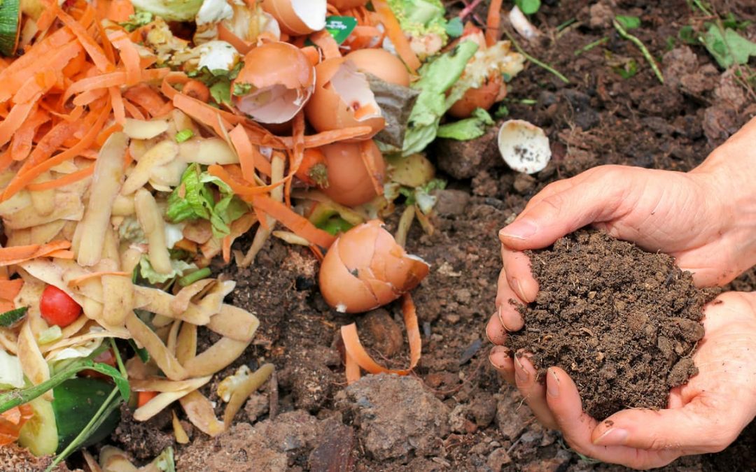 Recycler les déchets alimentaires pour réduire le gaspillage