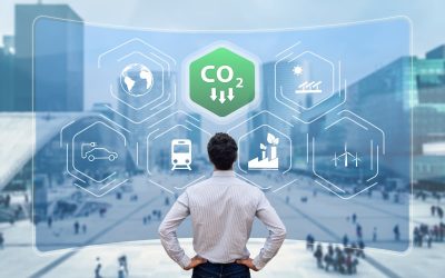 La stratégie carbone pour une entreprise : quelles sont les étapes ? 