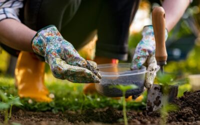 Comment fertiliser le sol de son jardin de façon écoresponsable ?