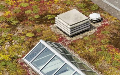 L’hiver est de retour : comment bien entretenir une toiture végétalisée ?
